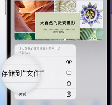 海口apple维修中心分享iPhone文件应用中存储和找到下载文件