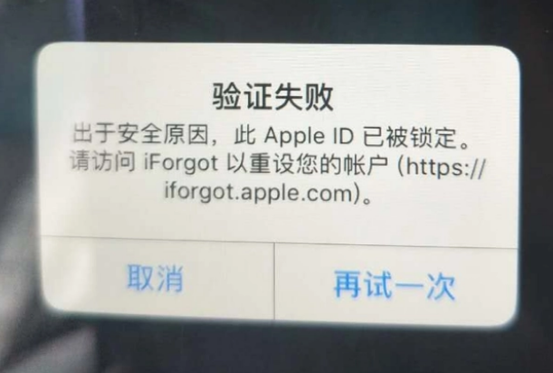 海口iPhone维修分享iPhone上正常登录或使用AppleID怎么办 