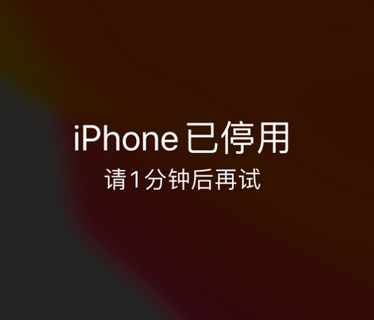 海口苹果手机维修分享:iPhone 显示“不可用”或“已停用”怎么办？还能保留数据吗？ 