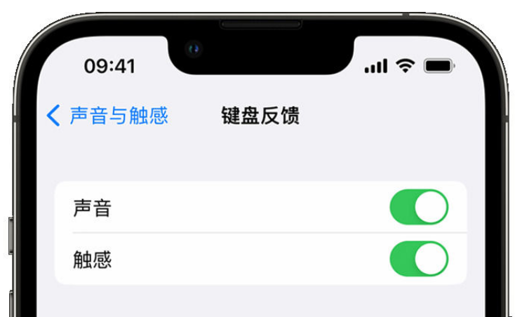 海口苹果手机维修分享iPhone 14触感键盘使用方法 