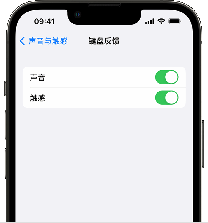 海口苹果14维修店分享如何在 iPhone 14 机型中使用触感键盘 