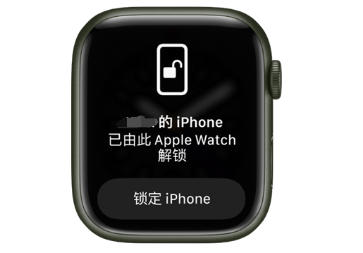 海口苹果手机维修分享用 AppleWatch 解锁配备面容 ID 的 iPhone方法 