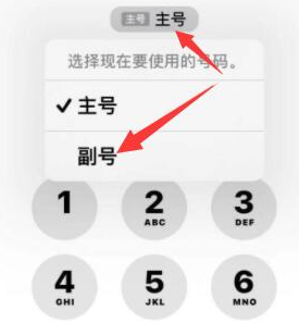 海口苹果14维修店分享iPhone 14 Pro Max使用副卡打电话的方法 