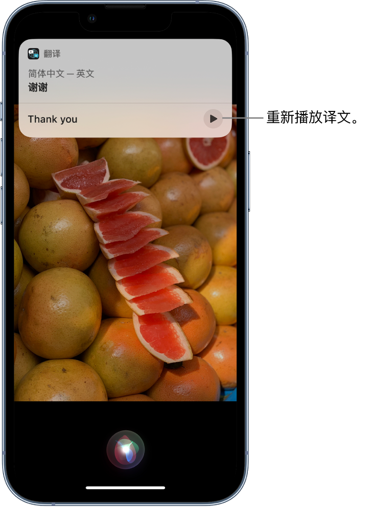 海口苹果14维修分享 iPhone 14 机型中使用 Siri：了解 Siri 能帮你做什么 