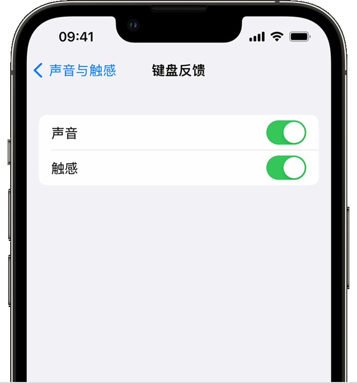 海口苹果14维修分享iPhone 14 系列机型如何开启键盘声音或触感反馈 