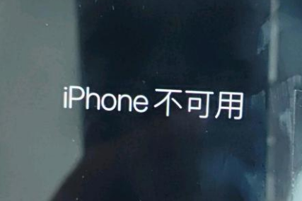 海口苹果服务网点分享锁屏界面显示“iPhone 不可用”如何解决 