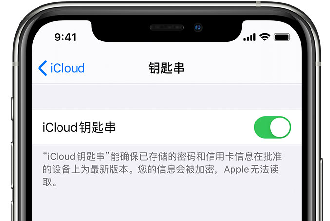 海口苹果手机维修分享在 iPhone 上开启 iCloud 钥匙串之后会储存哪些信息 