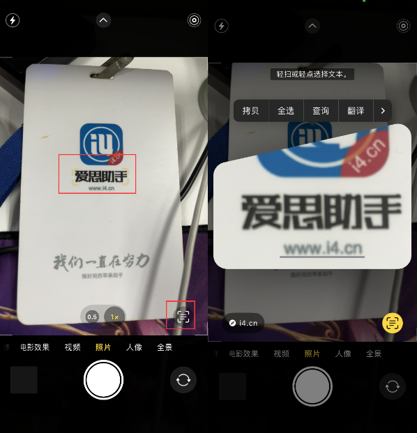 海口苹果手机维修分享升级iOS 16后如何通过相机翻译文本 