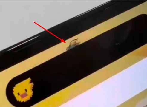 海口苹果14维修分享iPhone 14 Pro Max灵动岛怎么养宠物 