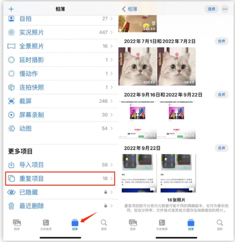海口苹果手机维修分享iOS 16 中相册重复项目功能使用方法 