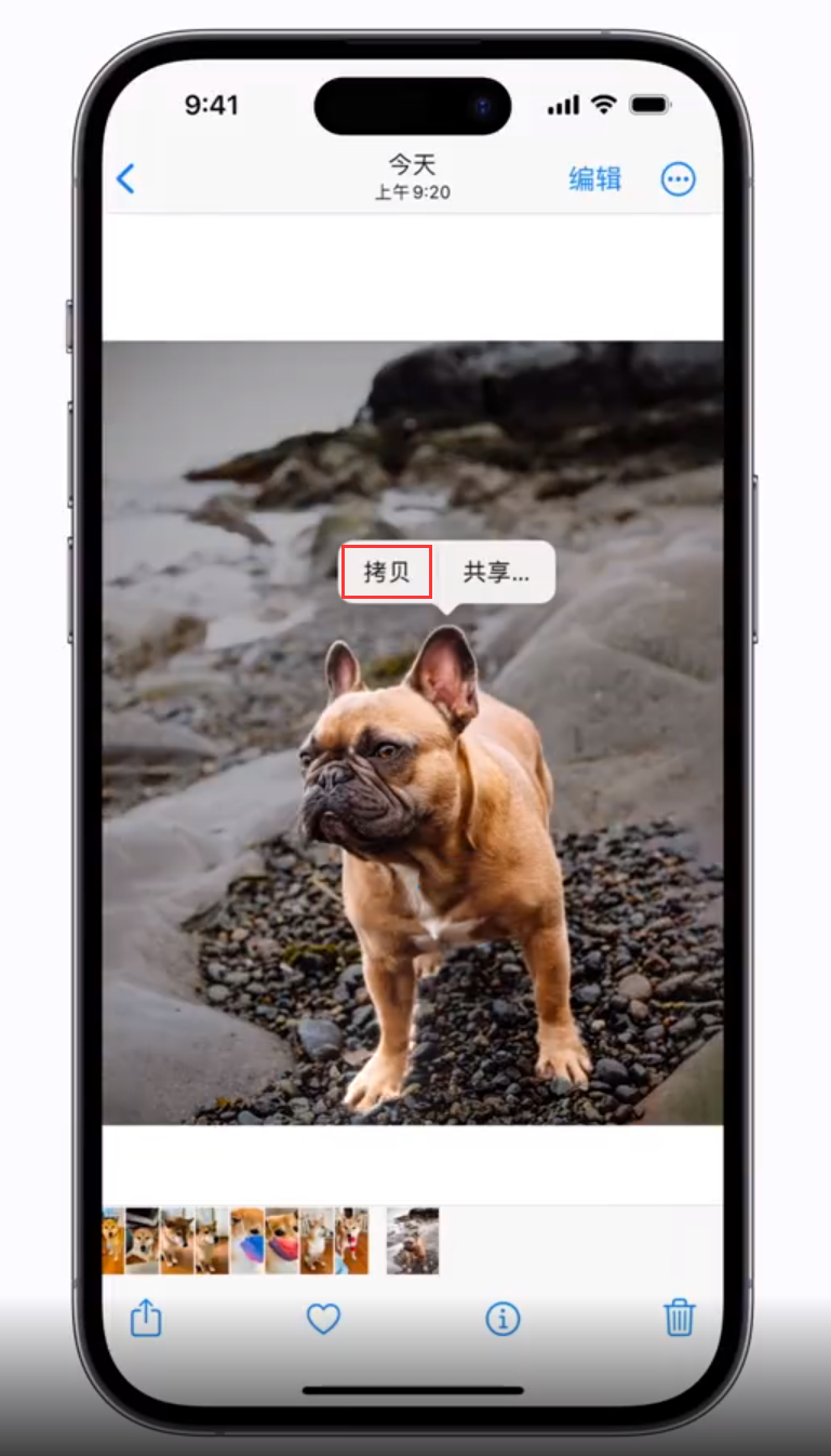 海口苹果手机维修分享 iOS 16 自带一键抠图功能 