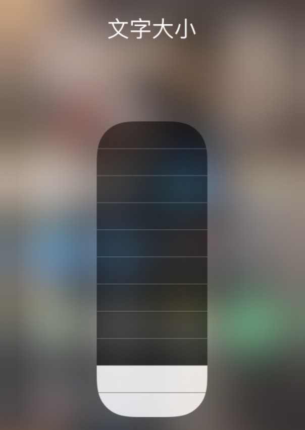 海口苹果手机维修分享小技巧：在 iPhone 控制中心快速调节字体大小 