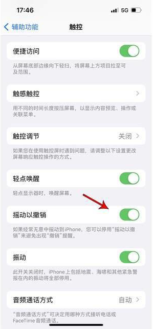 海口苹果手机维修分享iPhone手机如何设置摇一摇删除文字 