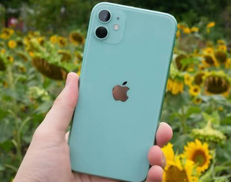 海口苹果维修点分享iPhone 11锁屏密码认知与使用科普 